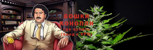 трава Балахна