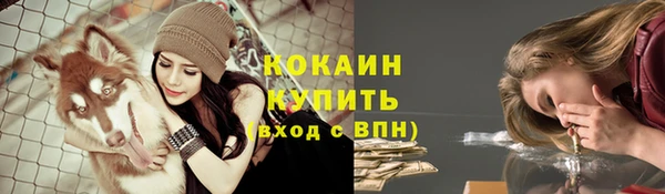 трава Балахна