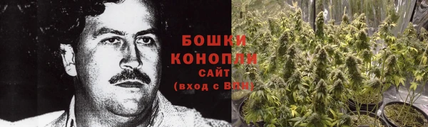ГАЛЛЮЦИНОГЕННЫЕ ГРИБЫ Балабаново
