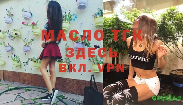 гидропоника Елабуга